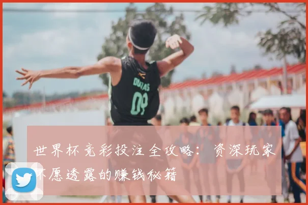 世界杯竞彩投注全攻略：资深玩家不愿透露的赚钱秘籍