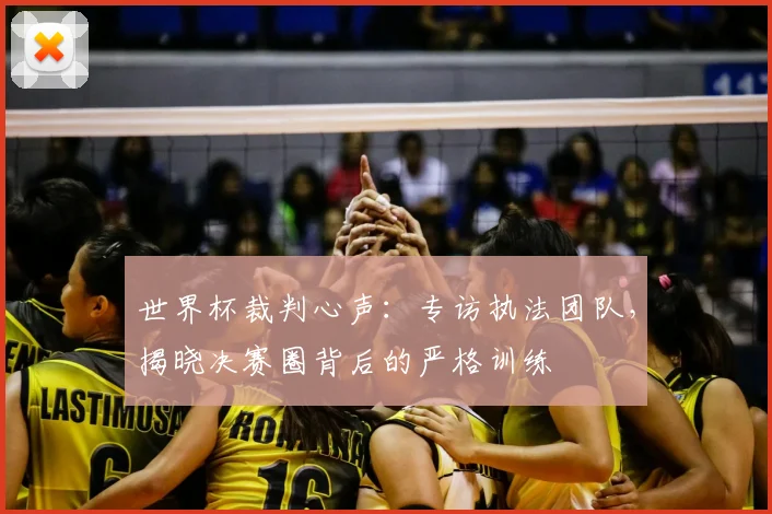世界杯裁判心声:专访执法团队,揭晓决赛圈背后的严格训练