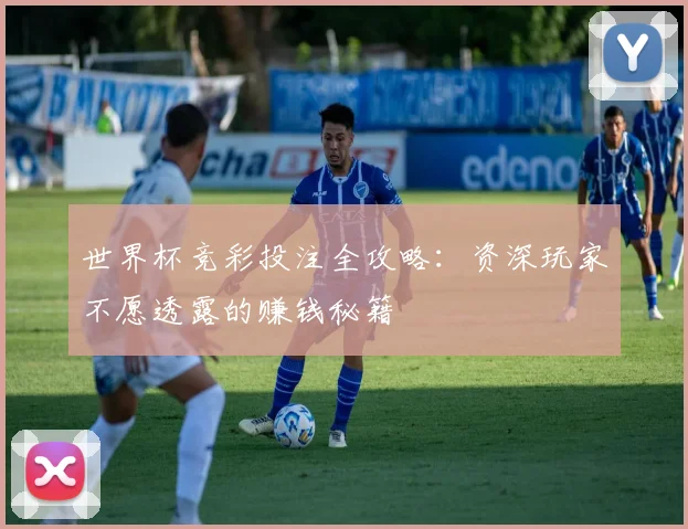 世界杯竞彩投注全攻略：资深玩家不愿透露的赚钱秘籍