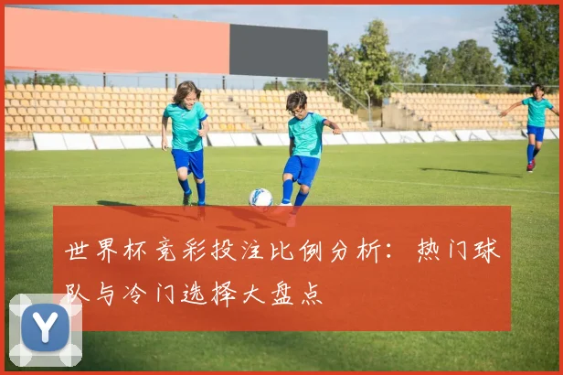 世界杯竞彩投注比例分析：热门球队与冷门选择大盘点
