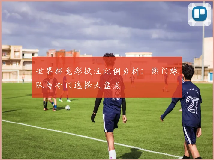 世界杯竞彩投注比例分析：热门球队与冷门选择大盘点
