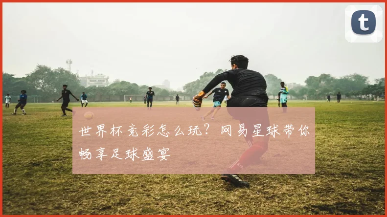 世界杯竞彩怎么玩？网易星球带你畅享足球盛宴
