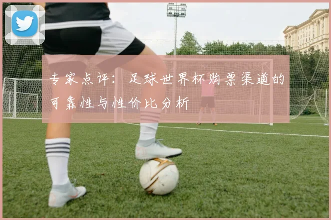 专家点评：足球世界杯购票渠道的可靠性与性价比分析